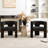 Brodee Boucle Upholstered Square Armchair (Set of 2)-84903046