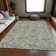 Premium Machine Washable Prisco Aloe Rug