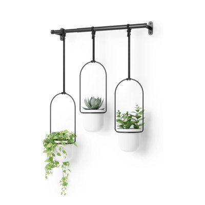 Tri-Flora Wall Décor