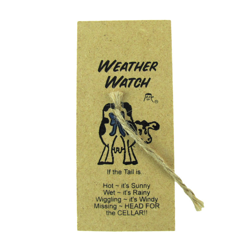 5.5'' Wireless Outdoor Thermometer