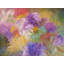 Flower Garden Print by Marsha Heller