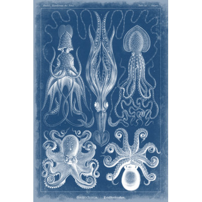 Marine Blueprint V - Wrapped Canvas Print