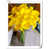 Jaune est en rupture de stock