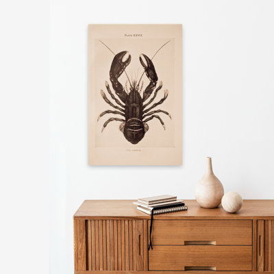 Bohemian And Vintage Vintage Lobster