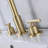 Widespread 2-handle Bathroom Faucet