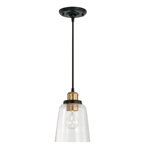 1 - Light Single Pendant