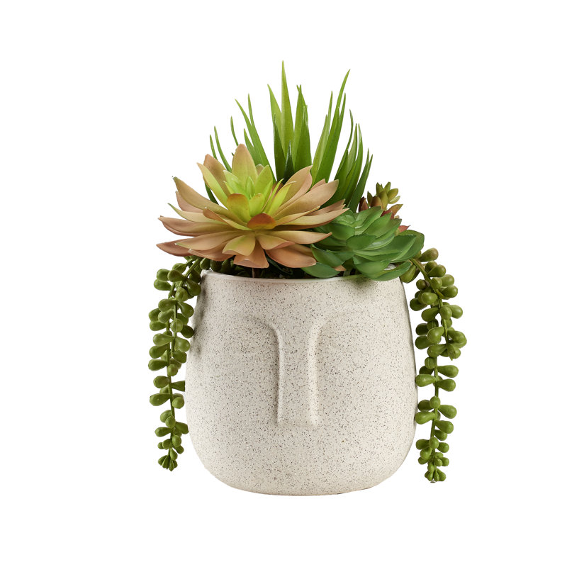 Plantes grasses mélangées dans un vase aztèque