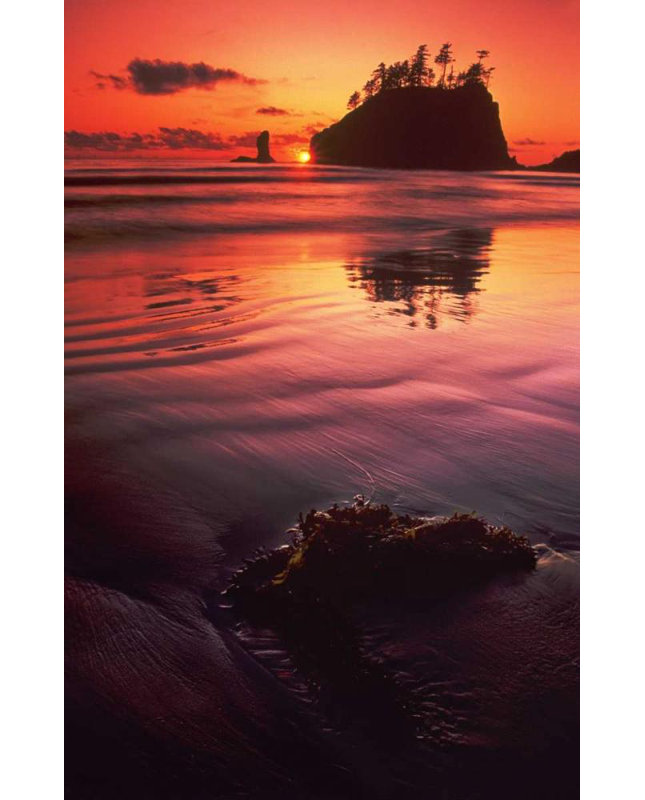 "Dovecove", galerie d'art tendue sur toile Dave, H 40 po x l 27 po