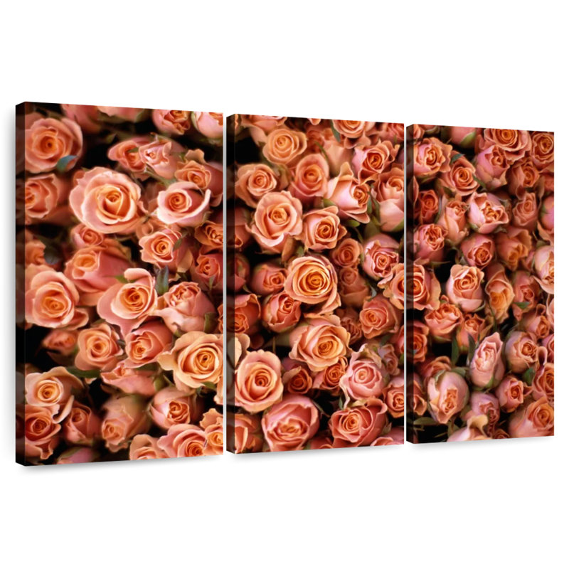 Harnek roses roses au marché Albert Cuyp, H 32 po x l 50 po