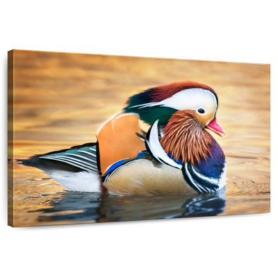 Brampt Flamboyant Mandarin Duck