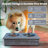 Sassy Paws Anti-Skid Elevated Feeder-41179308