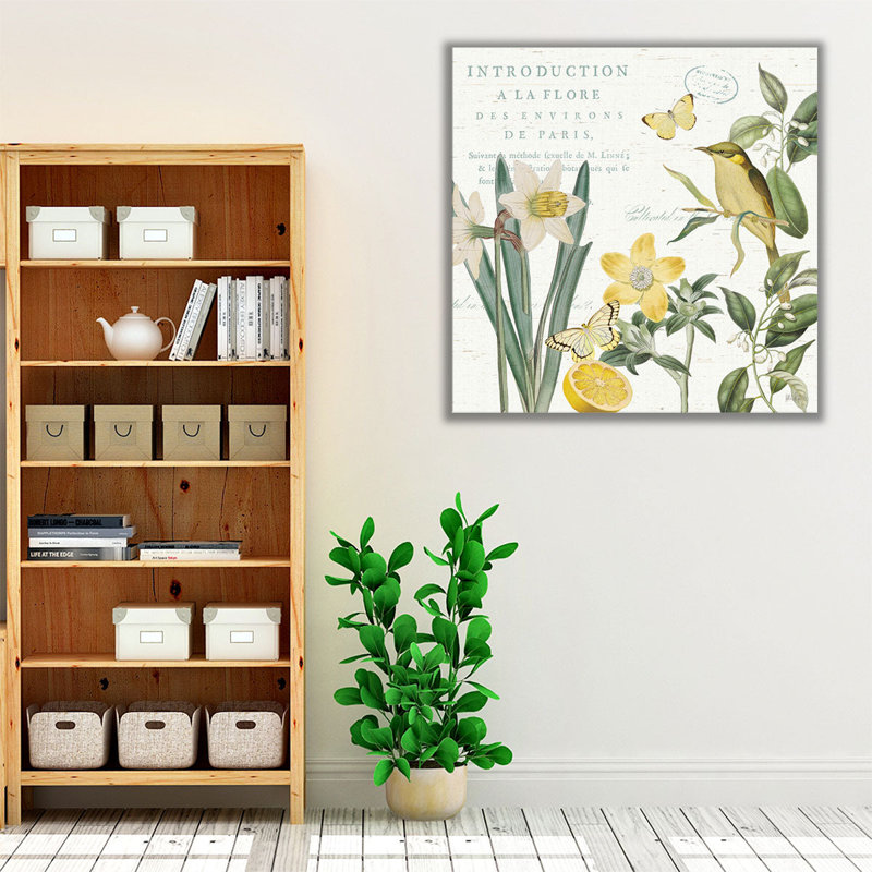 Citron Curiosities III - reproduction d'art sur toile, H 24 po x l 24 po