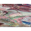 FRENZY Print by Will Birdwell-65849472-132457307