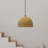Outdoor Pendant-2089226194