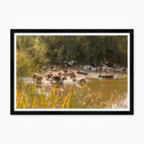 Hunt Club Swim Print