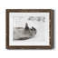 Laughing Seal - photographie avec cadre photo-1242266241-1242266242