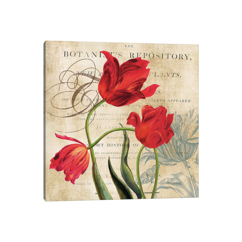 Botanist's Repository by Carol Robinson - Print on Canvas, Wrapped Canvas, 45.72 cm H x 45.72 cm W x 3.175 cm D