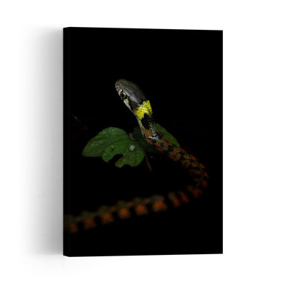 Yellow Collared Snake Abstract Contemporary Snake Forest Landscape Wall Art Print 1 Piece Wrapped Canvas Wall Art