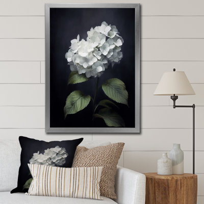 " Black White Blooms Of Hydrangea "
