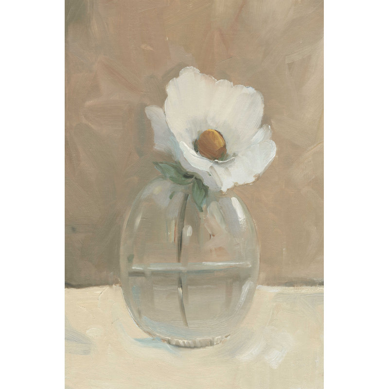 Globe de verre nature morte I, H 18 po x l 12 po