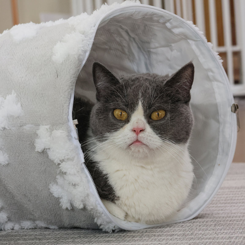 Cat Tunnel With Cat Bed For Indoor Cats, Multifunctional Cat Playground Toys Hideplace For Small Medium Large Cats