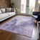 Machine Washable Indoor/Outdoor Claudian ACN1652 Plum Rug