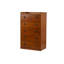 Commode 5 tiroirs Indihar Pharr