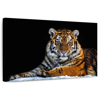 Tigre instantané