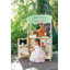 Preschool Play Carts & Stands