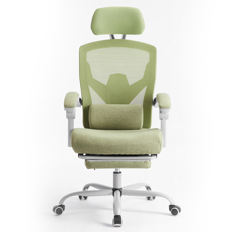 Mesh High Back Ergonomic Office Chair Lumbar Support Pillow Computer Desk Chair, Silver, Green
