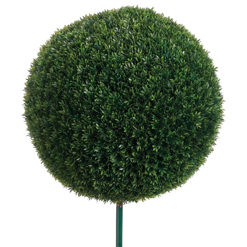 24'' Boxwood Topiary