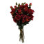 Plastic, Silk Artificial Arrangement-88685033