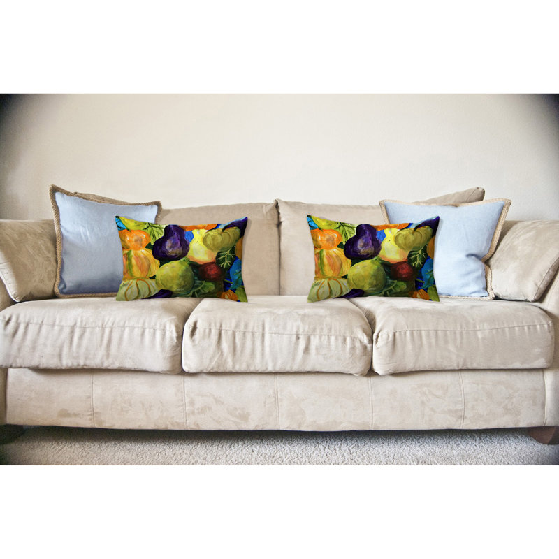  Housse et insert de coussin d'extérieur pour l'extérieur, 16" x 20"