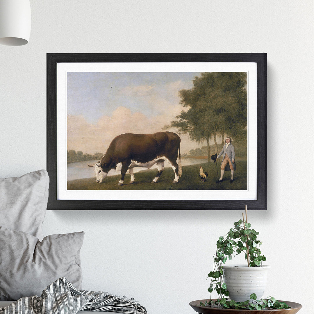 The Lincolnshire Ox by George Stubbs - Framed Print