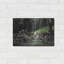 «Stegosaurus Family» par Damir Martin-717562694