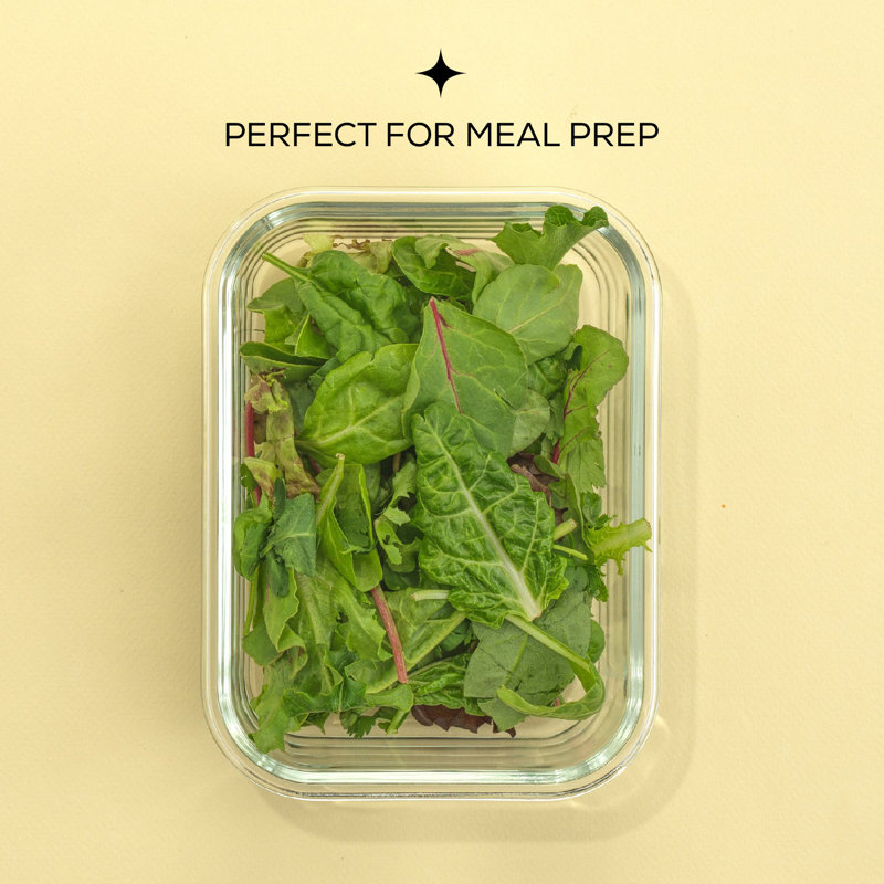 Black Glass Meal Prep Containers with Lids, Set of 5