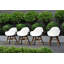 Chaise de patio noire avec accoudoirs Rafael-699827830