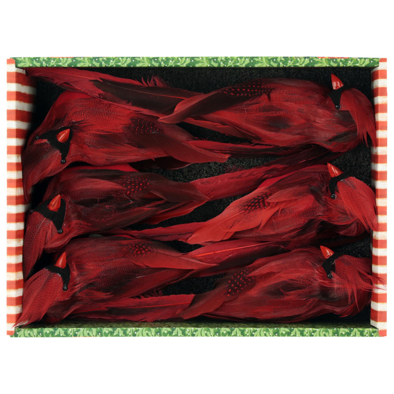 Cardinal Décor, boîte de 6 - 11 X 3,5 pouces