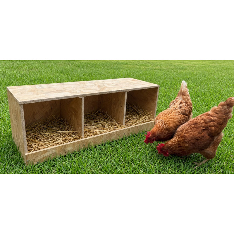Nesting Boxes For Up To