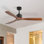 Ventilateur de plafond standard à 3 pales de 60 po avec télécommande Nicola