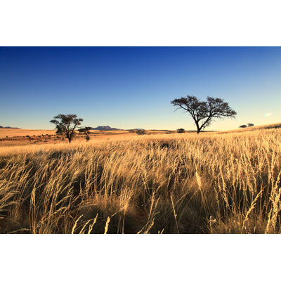 Paysage de prairies par Africaimages