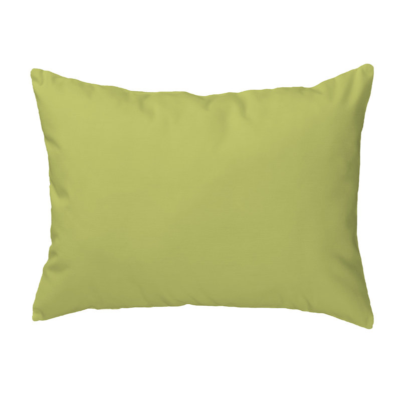  Housse et insert de coussin d'extérieur pour l'extérieur, 20 po x 24 po