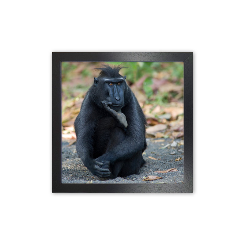 Thinker by Karsten Wrobel - Print on Canvas, Black Framed, 63cm H x 46cm W x 3cm D