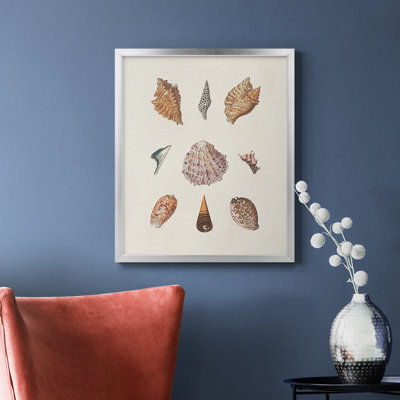 Knorr Shells & Coral VI Premium Framed Canvas - Ready to Hang