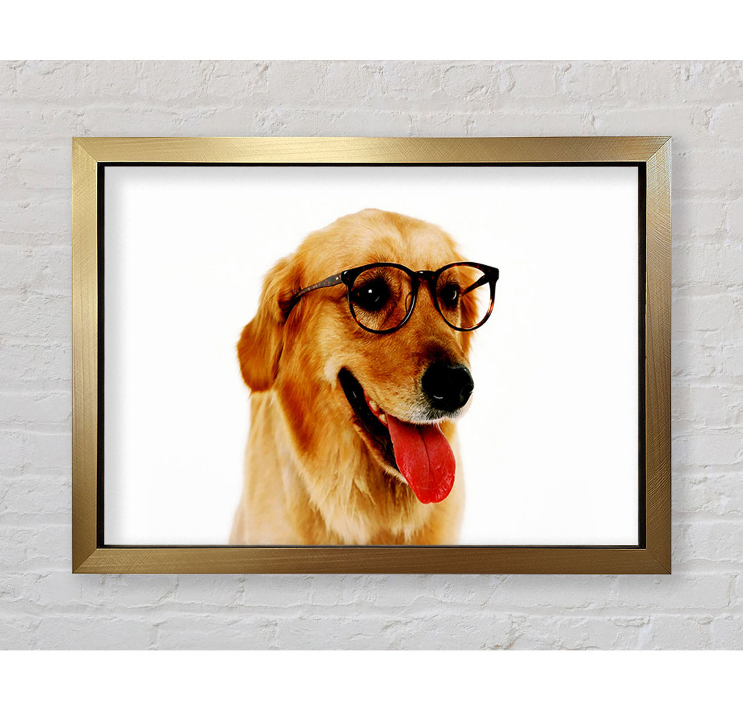 Golden Retriever Nerd - Einzelner Bilderrahmen Kunstdrucke