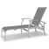 Askar Outdoor Rust-Resistant Metal Chaise Lounge