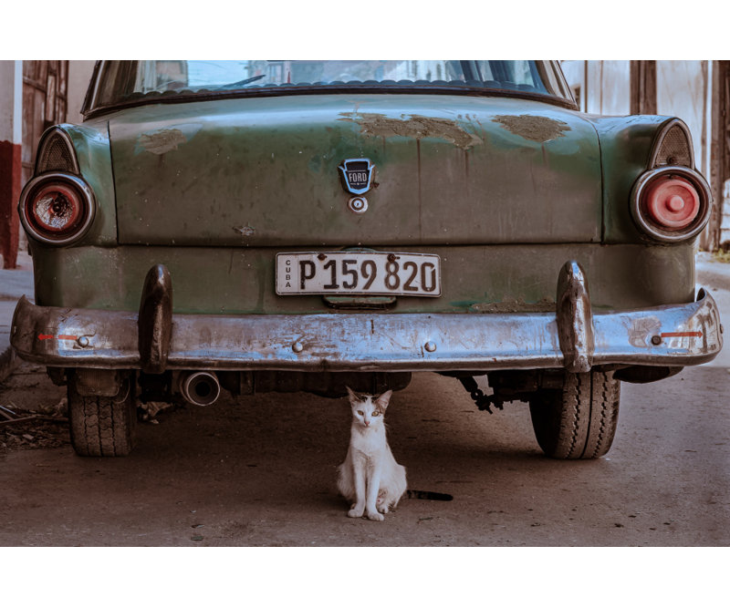 Wrapped Canvas Print, 50.8 cm H x 76.2 cm W