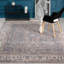 6 Oriental Area Rug in Gray-1672243224