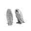 Harvest Salt And Pepper Shaker Set