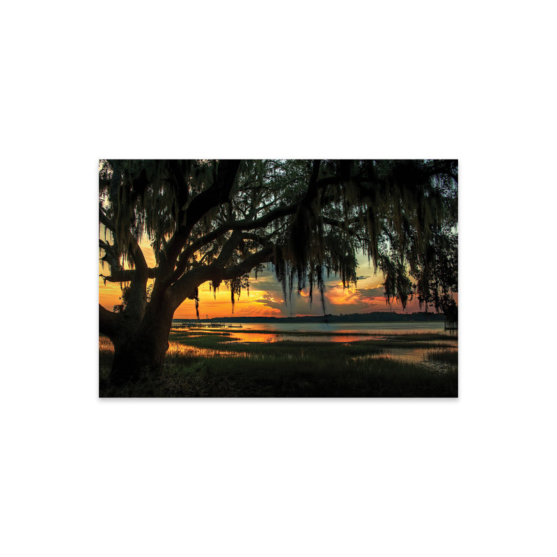 «Ilet Savannah Evening» par Natalie Mikaels
